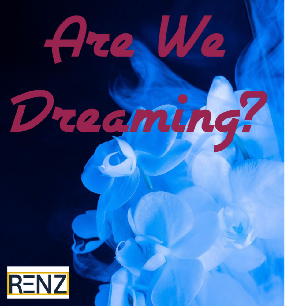 Are We Dreaming artwork