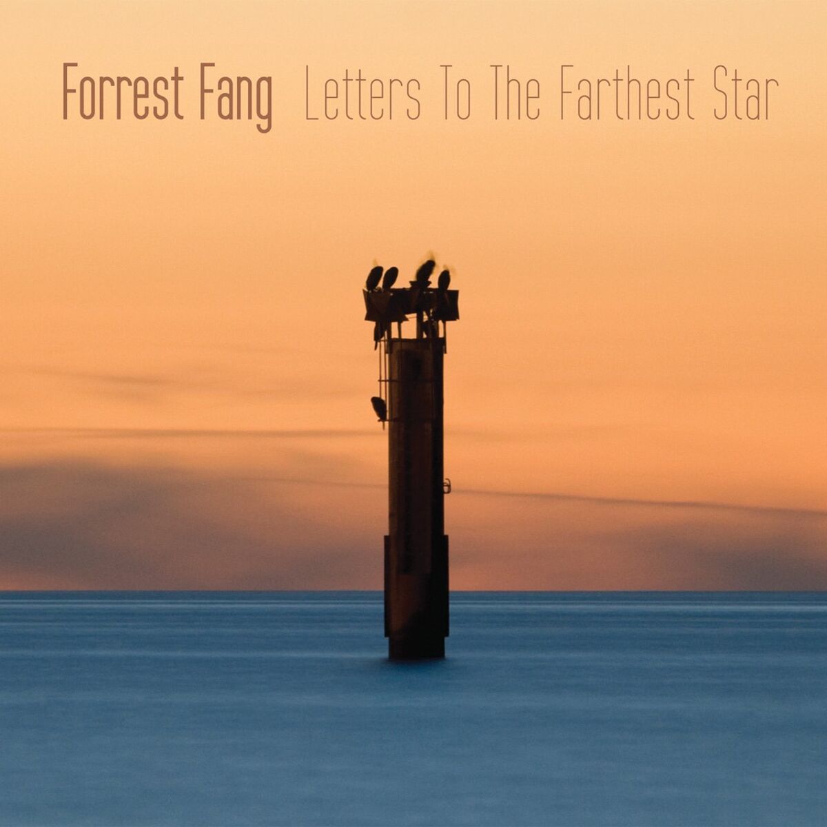 Album cover of Letters To The Farthest Star