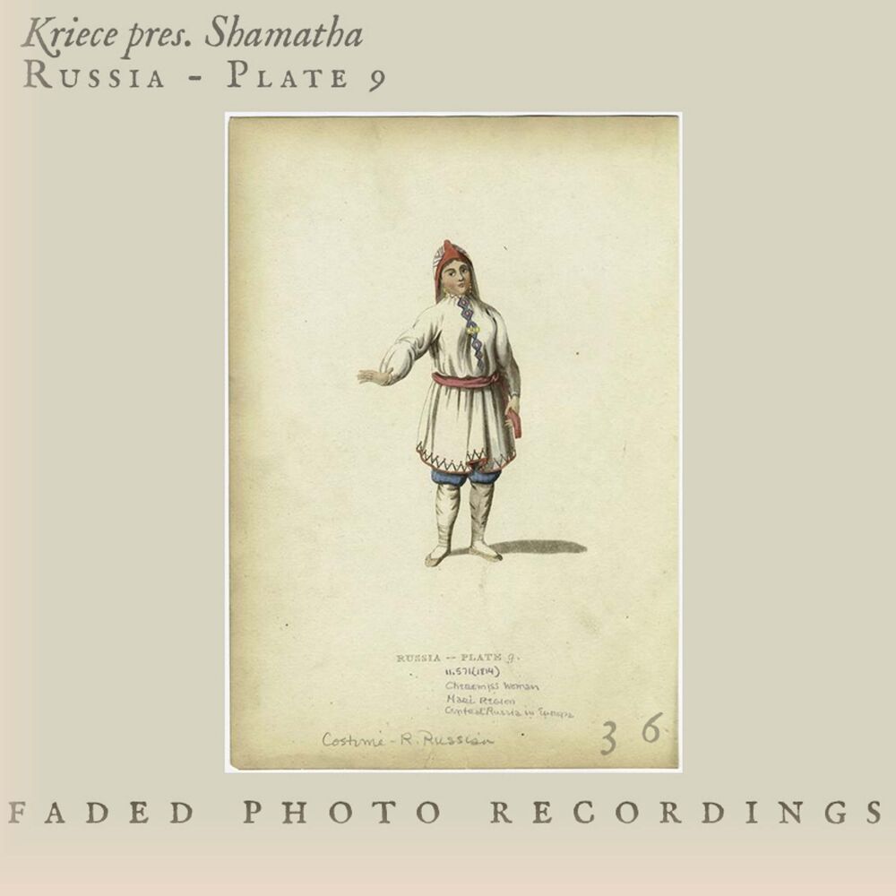 Picture of Russia-Plate 9