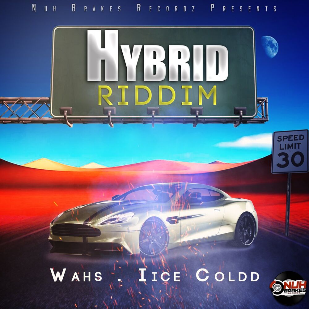 Picture of Hybrid Riddim