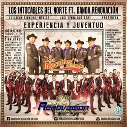 Cover of Experiencia y Juventud