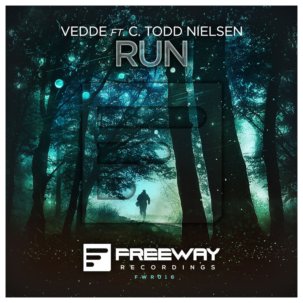 Picture of Run (Original Mix)
