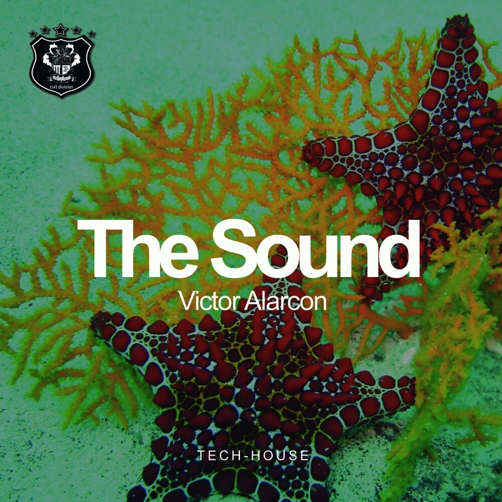 Picture of The Sound