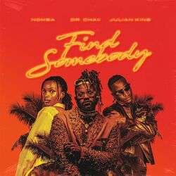 Cover of Find Somebody