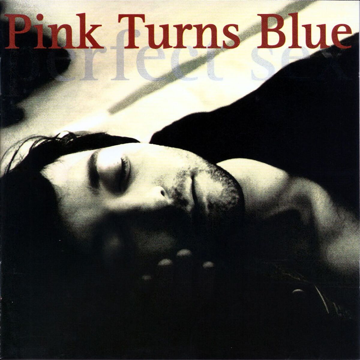Album cover of Perfect Sex