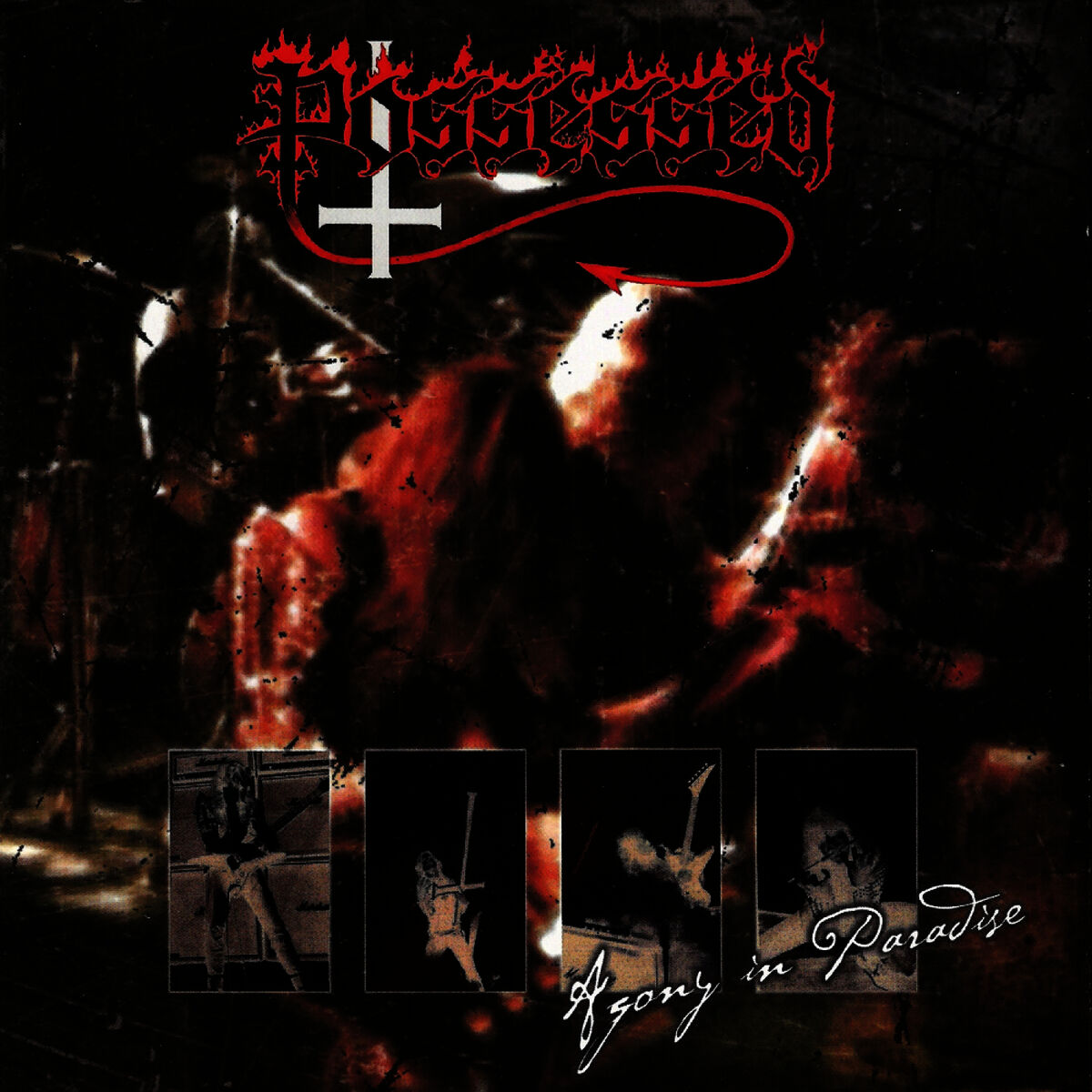 Album cover of Agony in Paradise