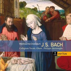 Cover of J.S. Bach: Weihnachts-Oratorium, BWV 248
