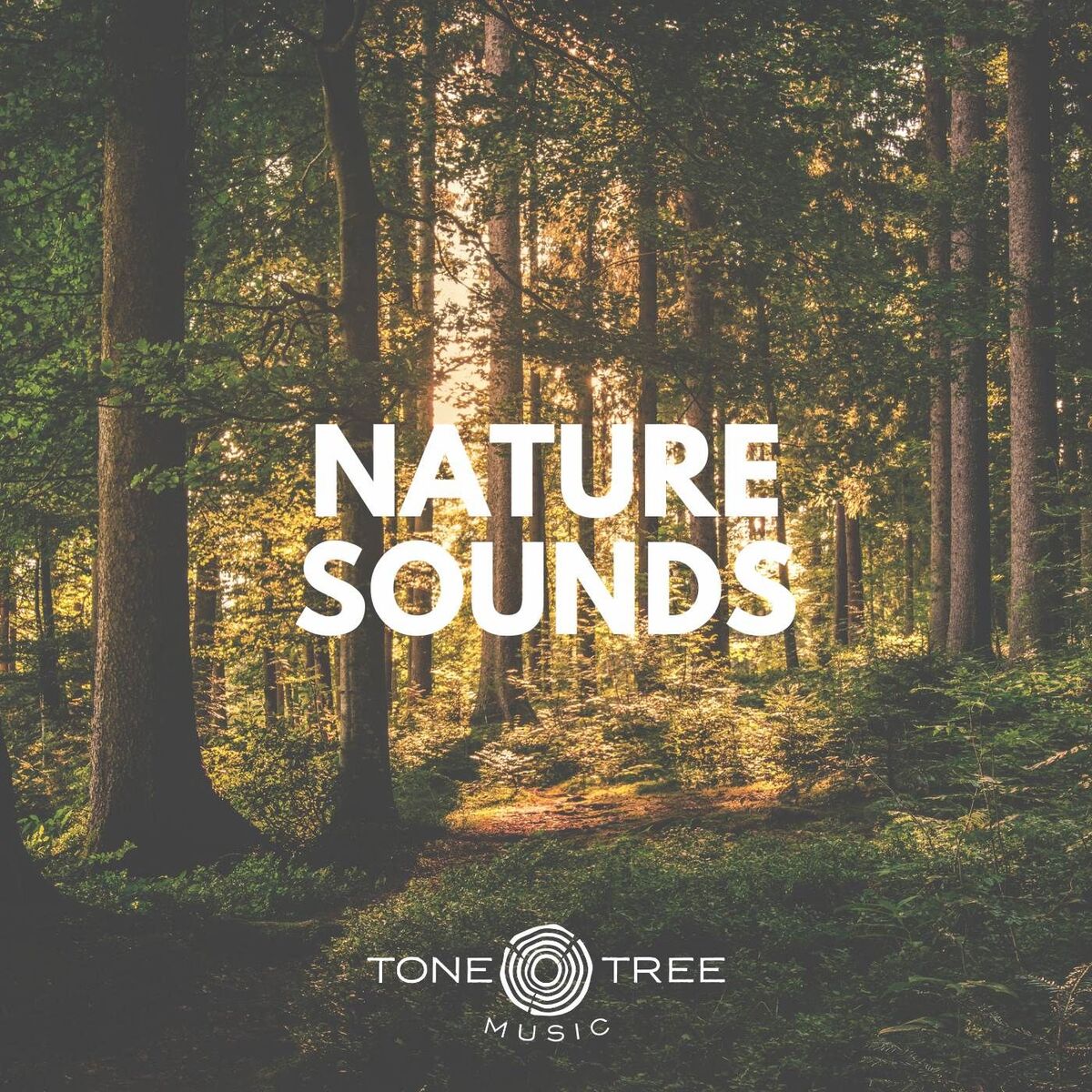Album cover of Tone Tree Music Presents: Nature Sounds