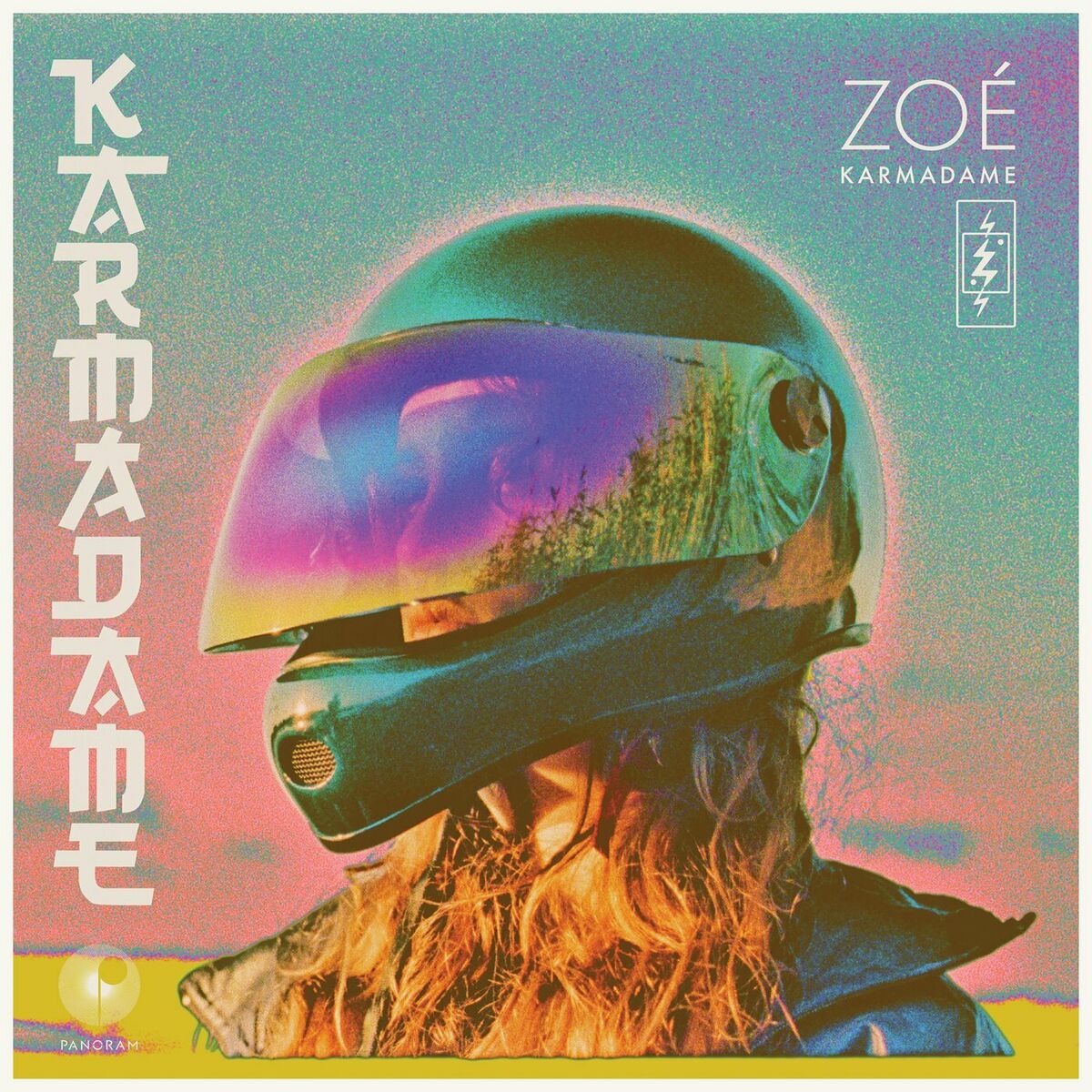Album cover of Karmadame