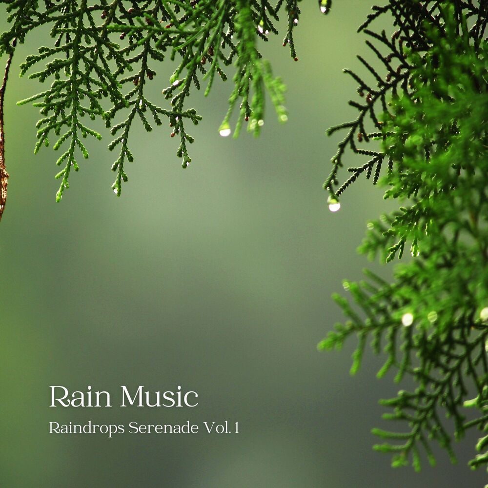 Picture of Rain Music: Raindrops Serenade Vol. 1