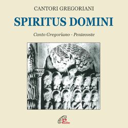 Cover of Spiritus domini
