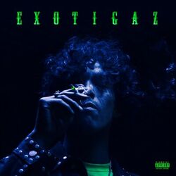 Cover of EXOTIGAZ