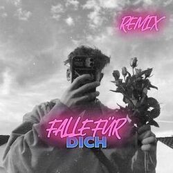 Cover of Falle Für Dich - Remix