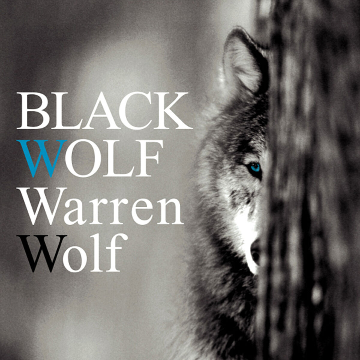 Album cover of Black Wolf