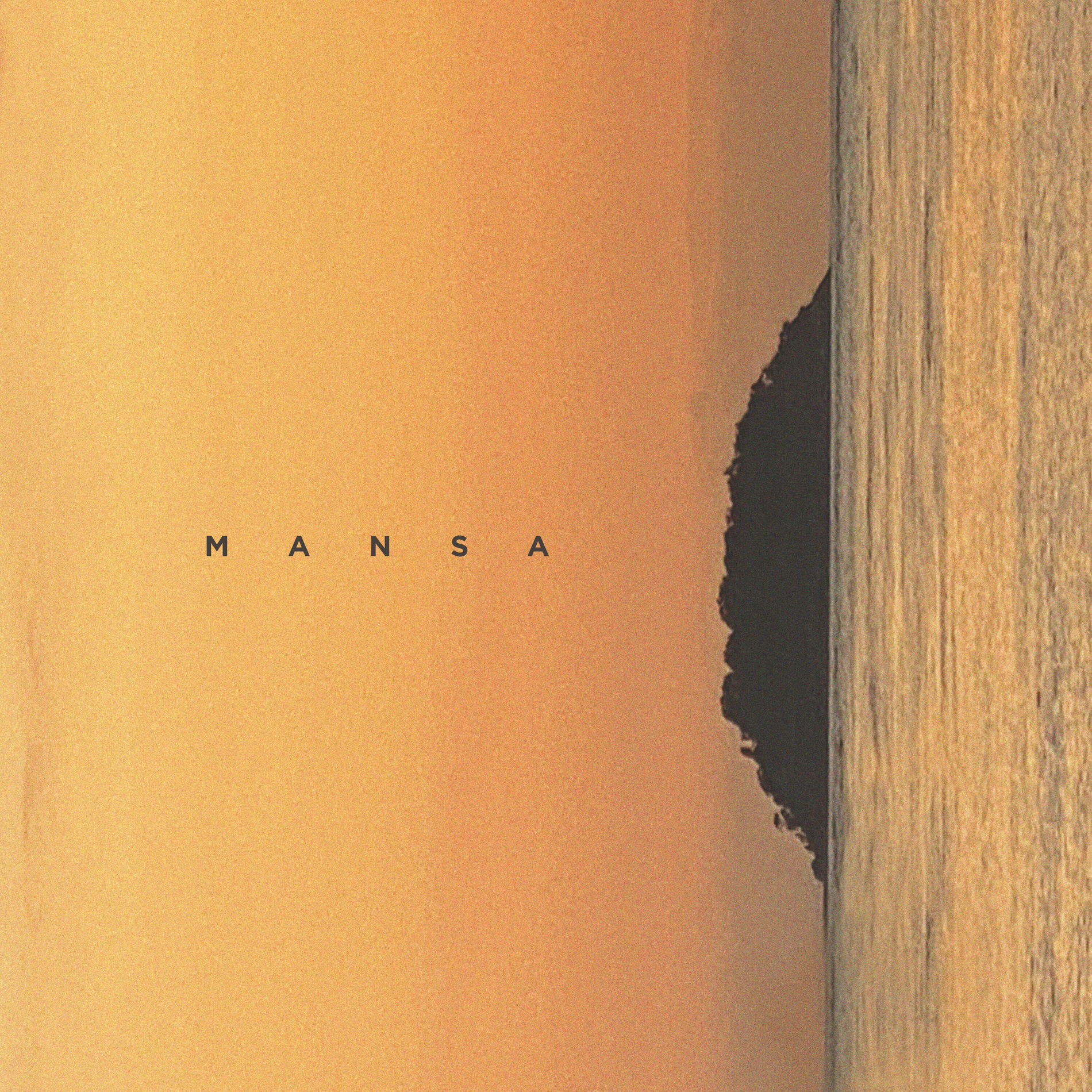 Album cover of Mansa