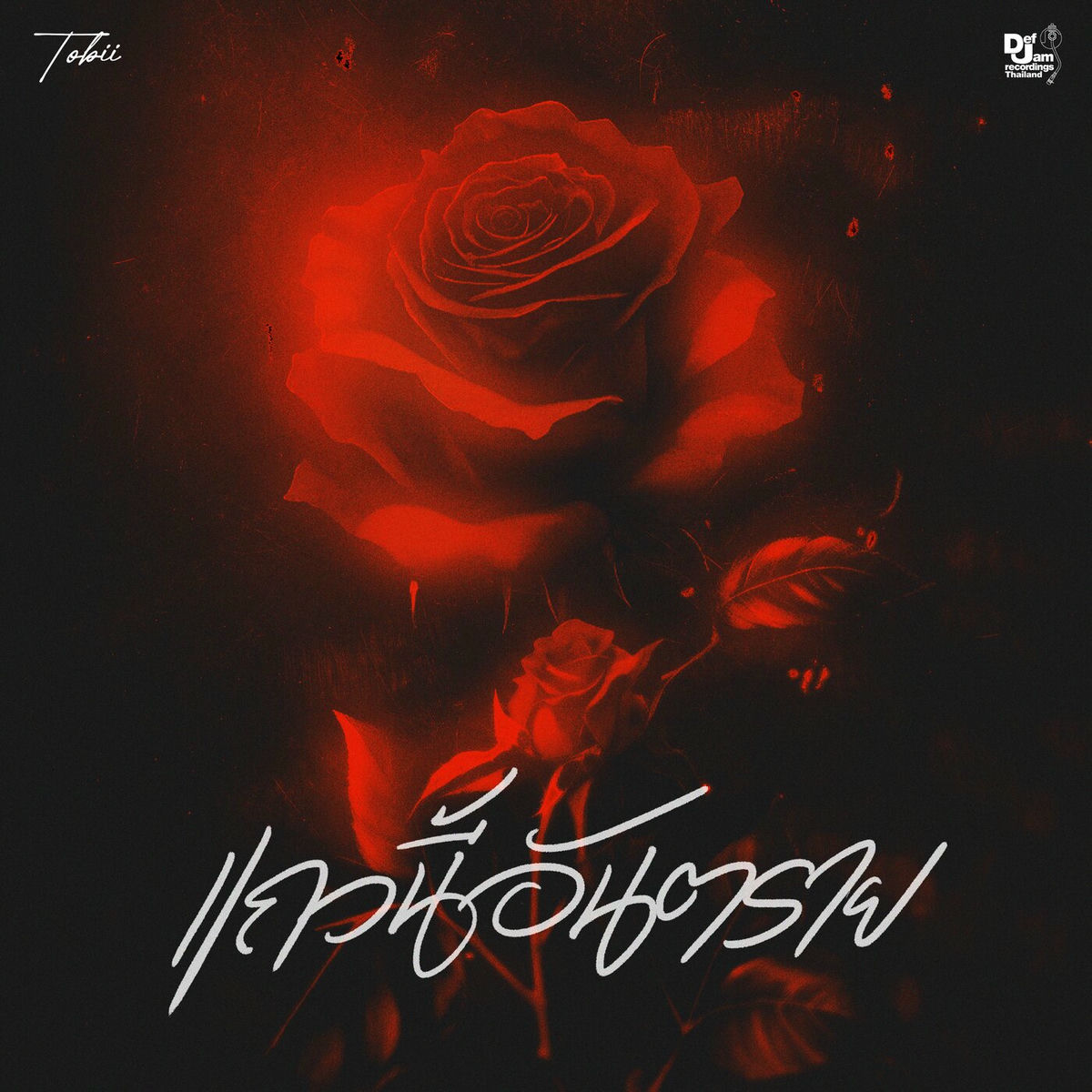 Album cover of แถวนี้อันตราย