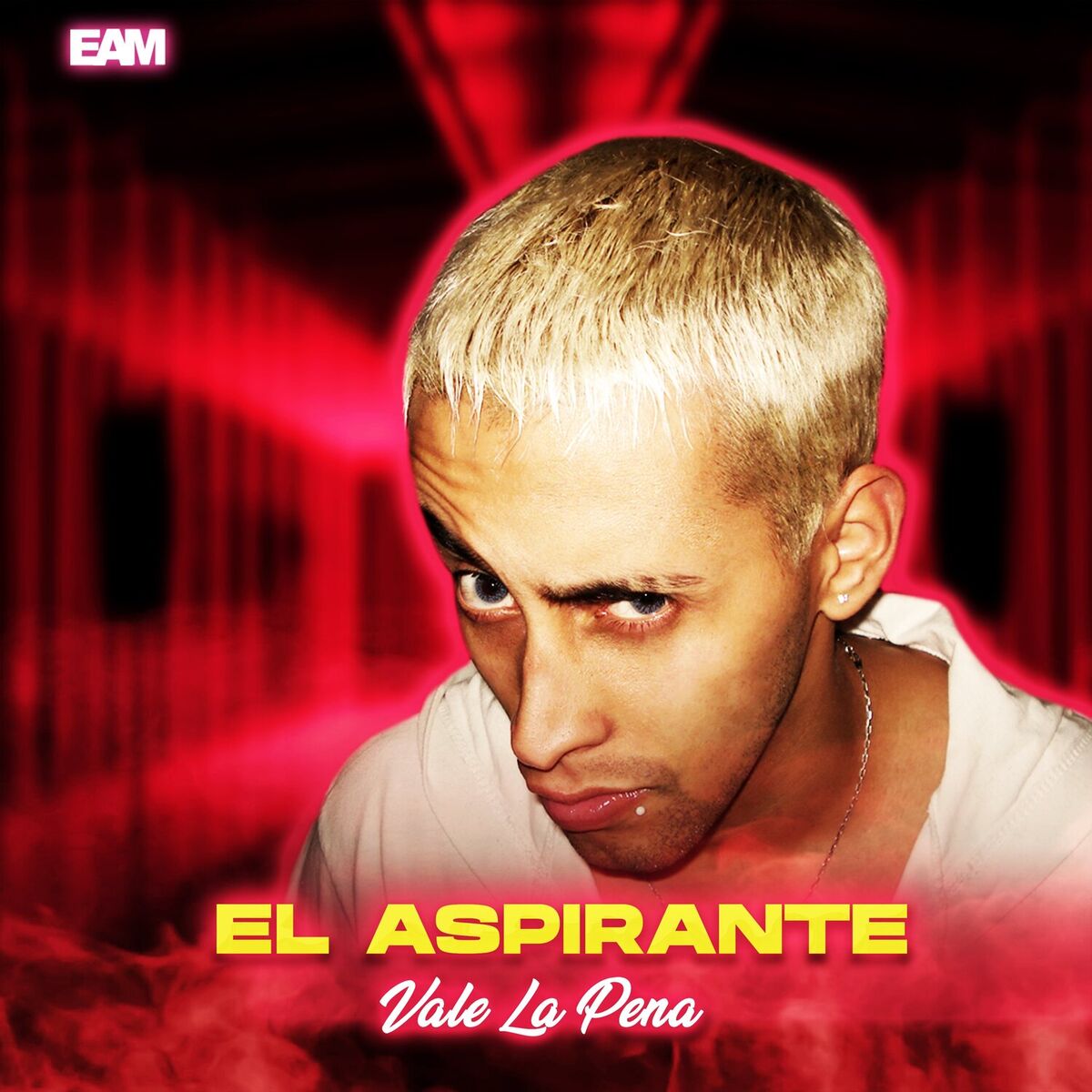 Album cover of Vale La Pena
