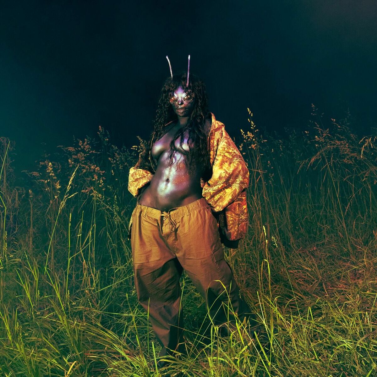 Album cover of SOS Deluxe: LANA