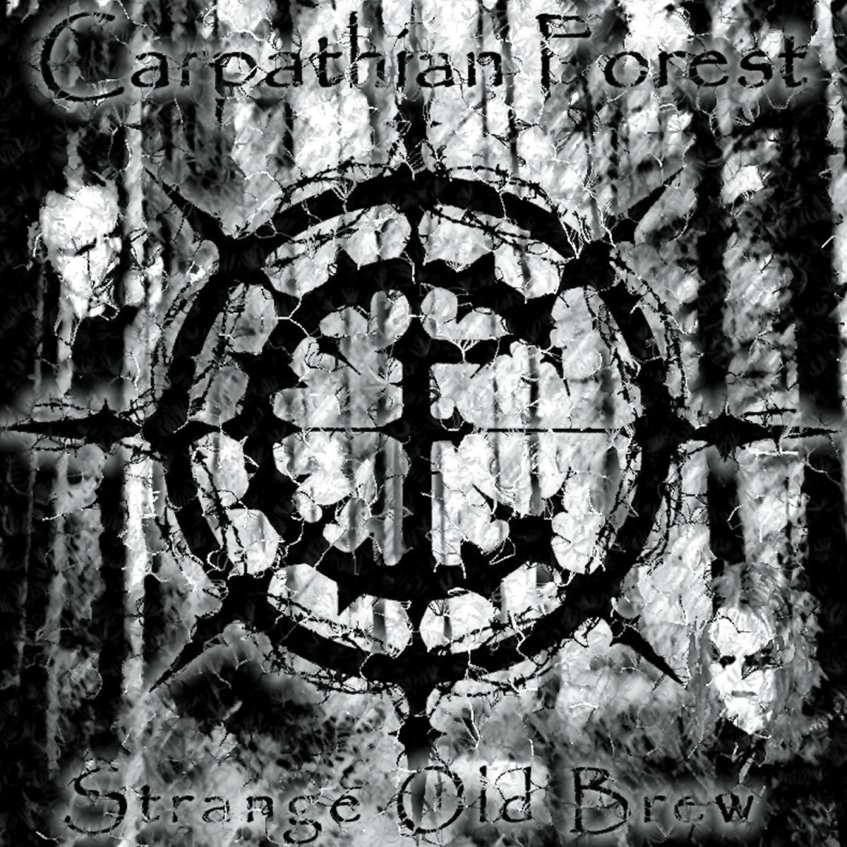 Album cover of The Suicide Song
