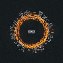 Cover of Ring of Fire