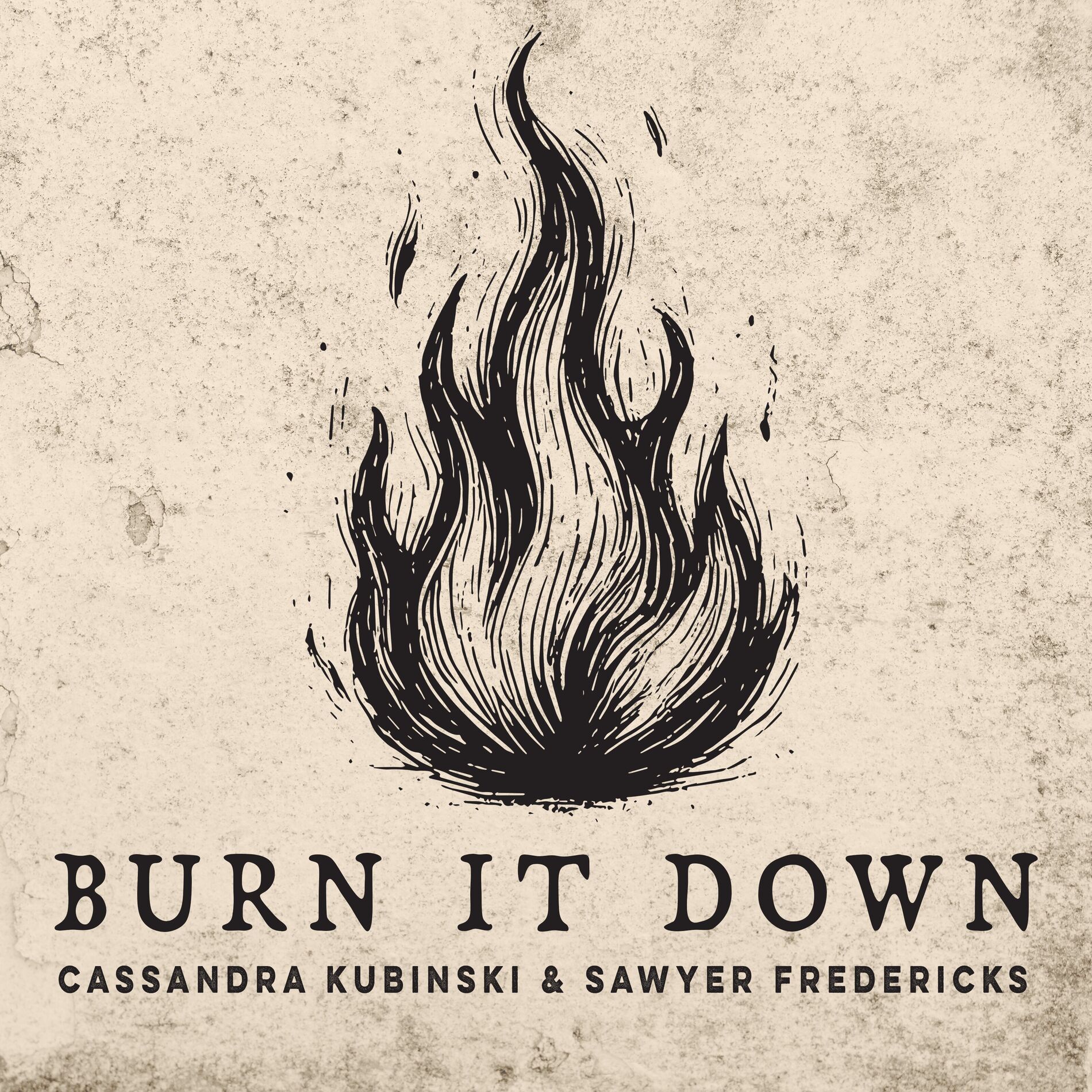 Album cover of Burn It Down
