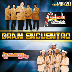 Cover of Gran Encuentro (20 Éxitos Originales)