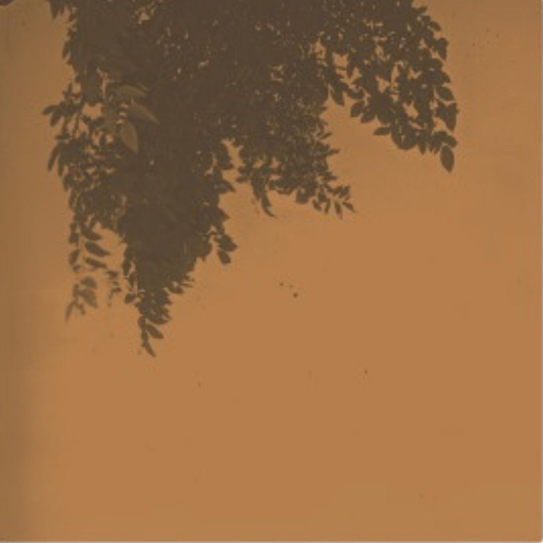 Album cover of Caterpillar Scar