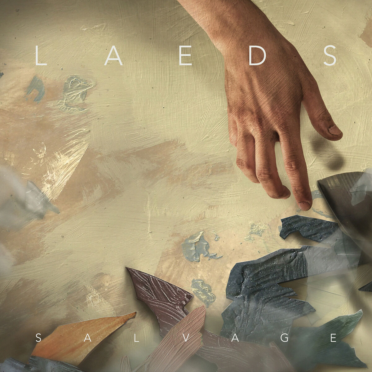 Album cover of Salvage