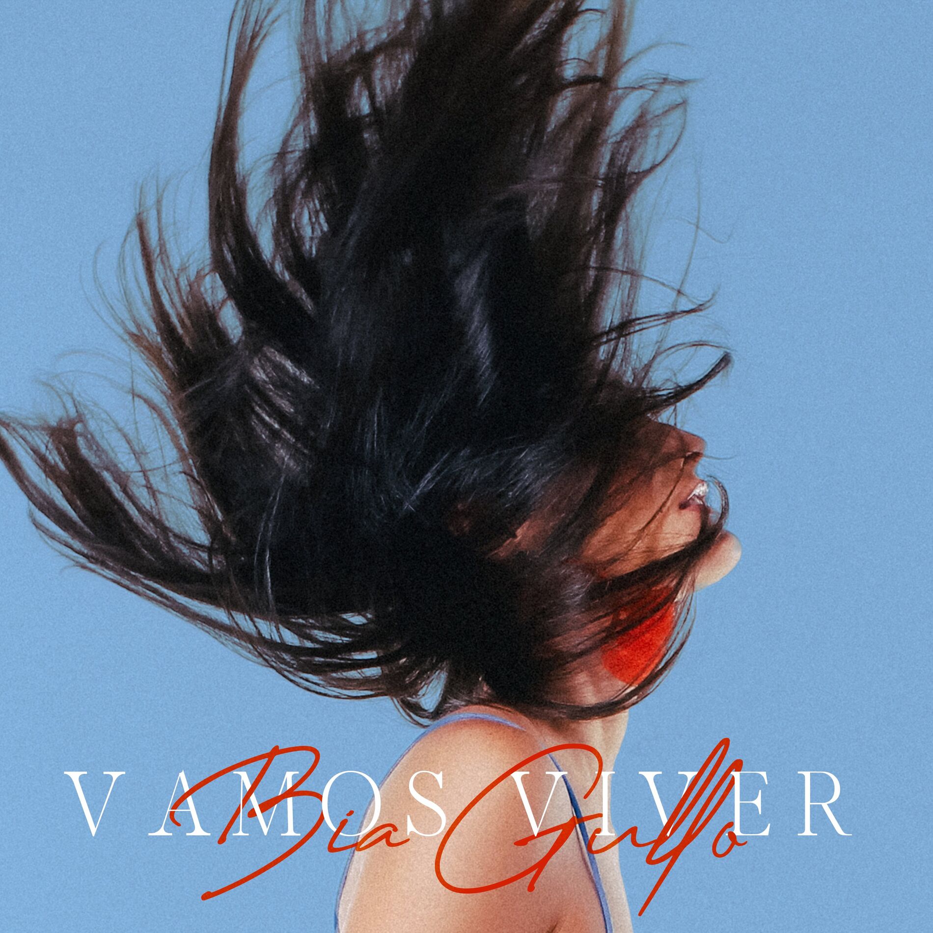 Album cover of Vamos Viver