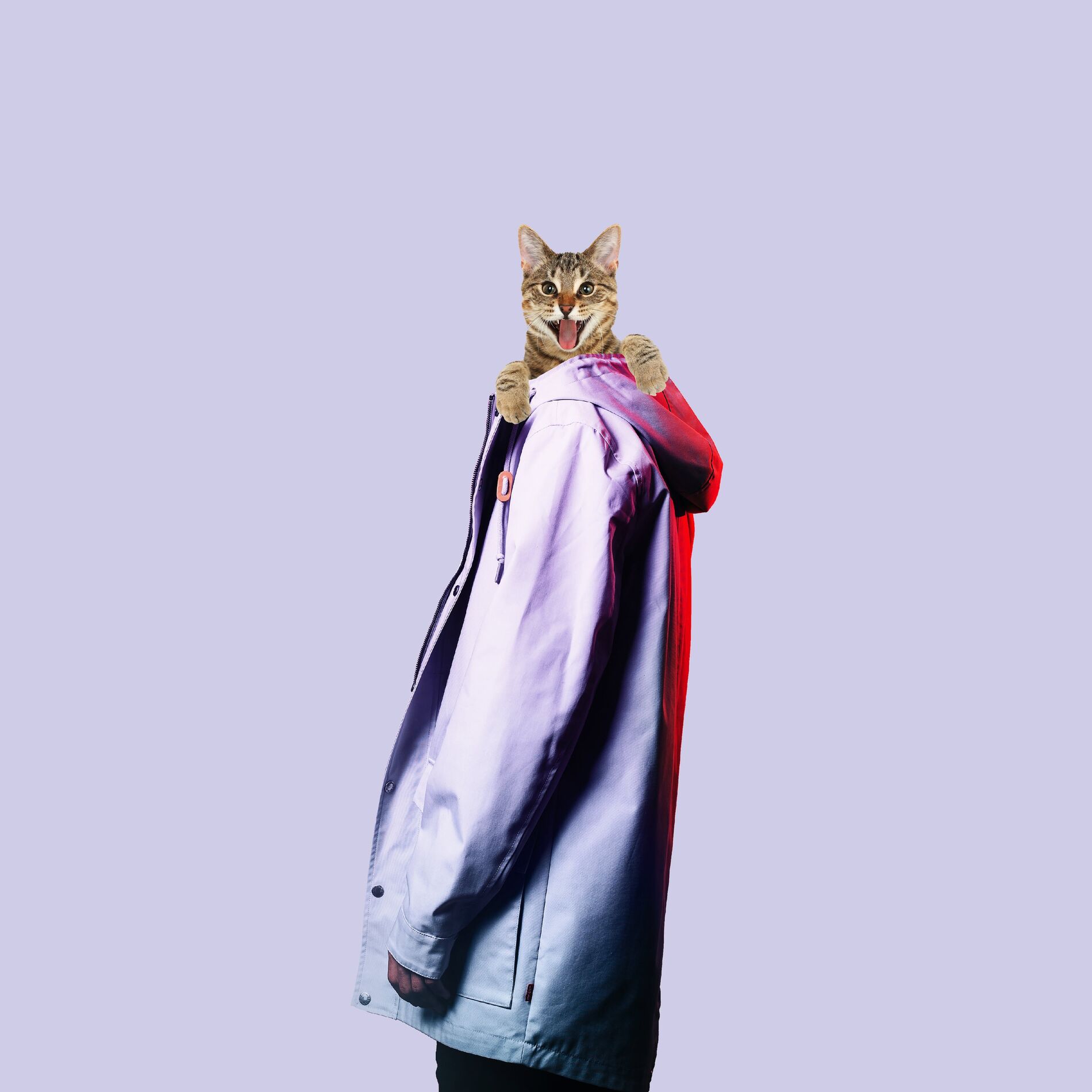 Album cover of Crazy
