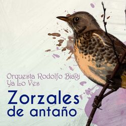 Cover of Zorzales de Antaño - Orquesta Rodolfo Biagi - Ya Lo Ves