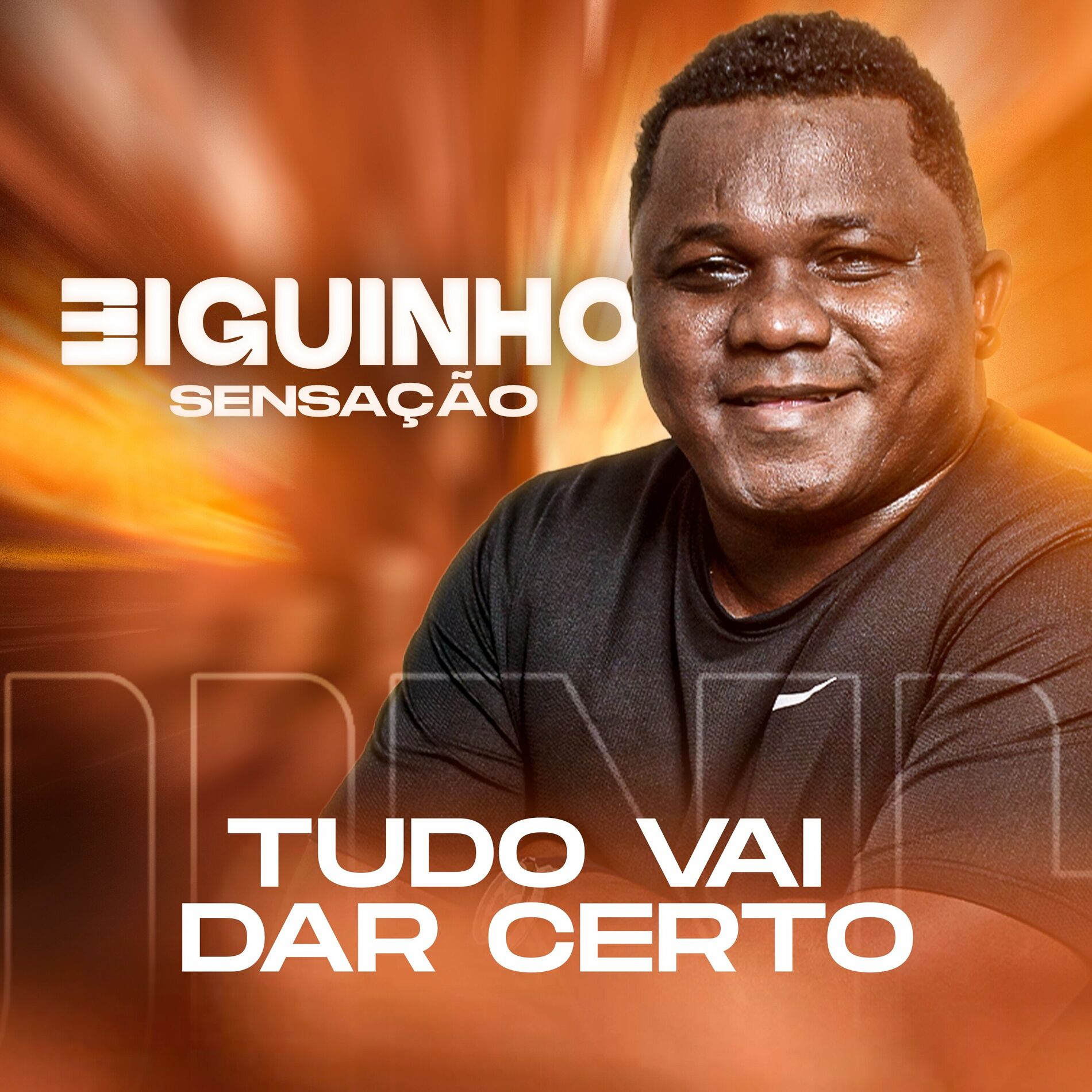 Album cover of Tudo Vai Dar Certo