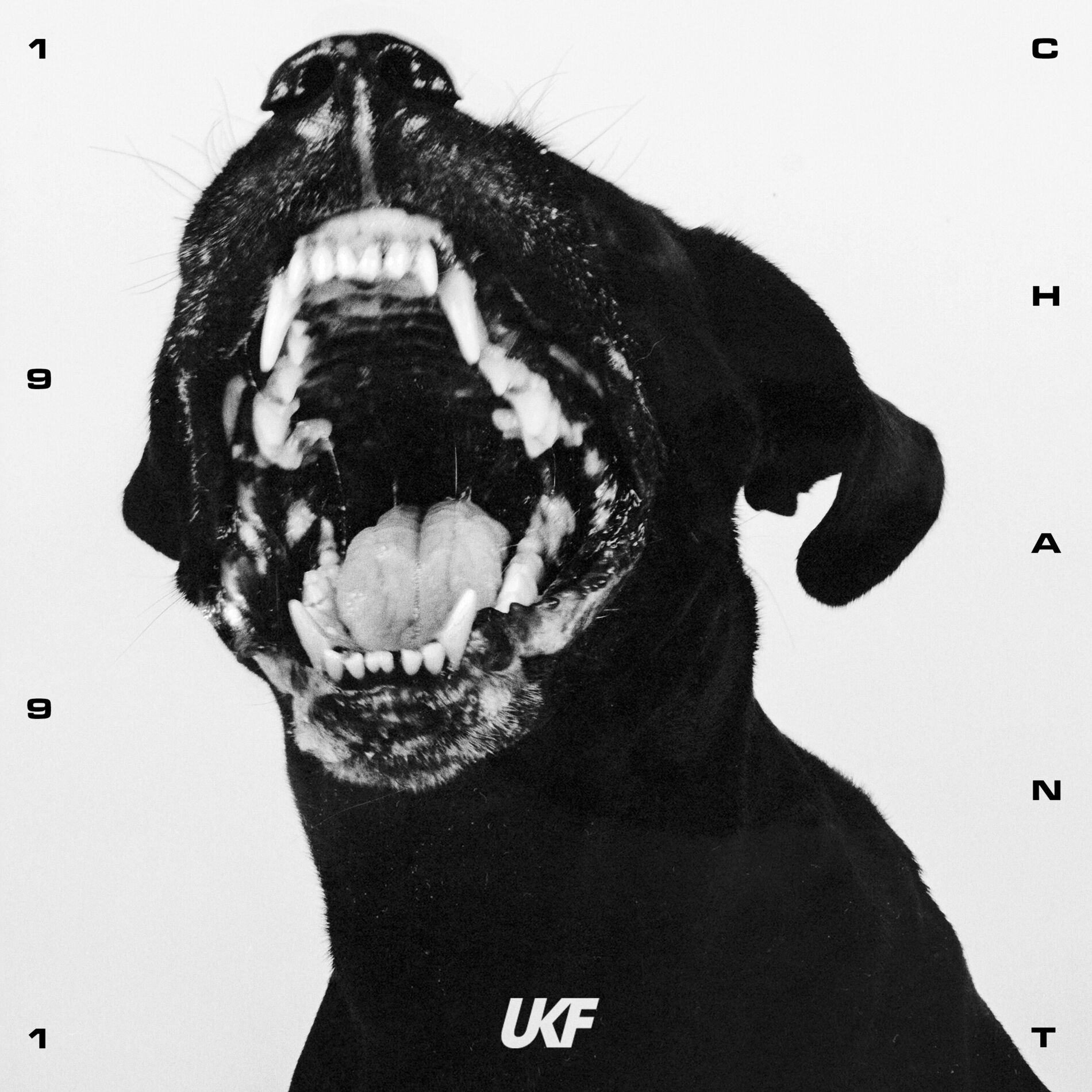 Album cover of Chant