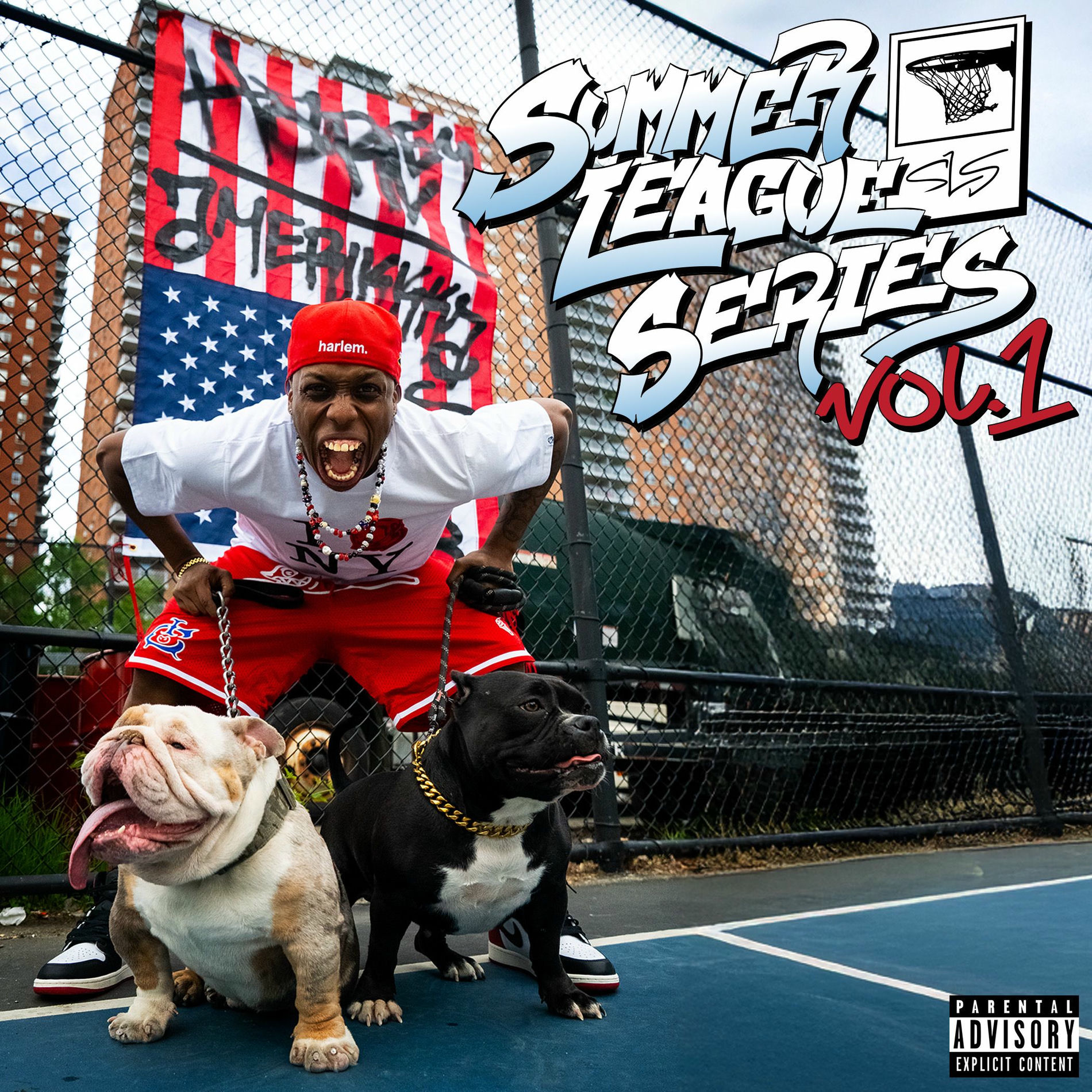 Album cover of Summer League Series, Vol. 1