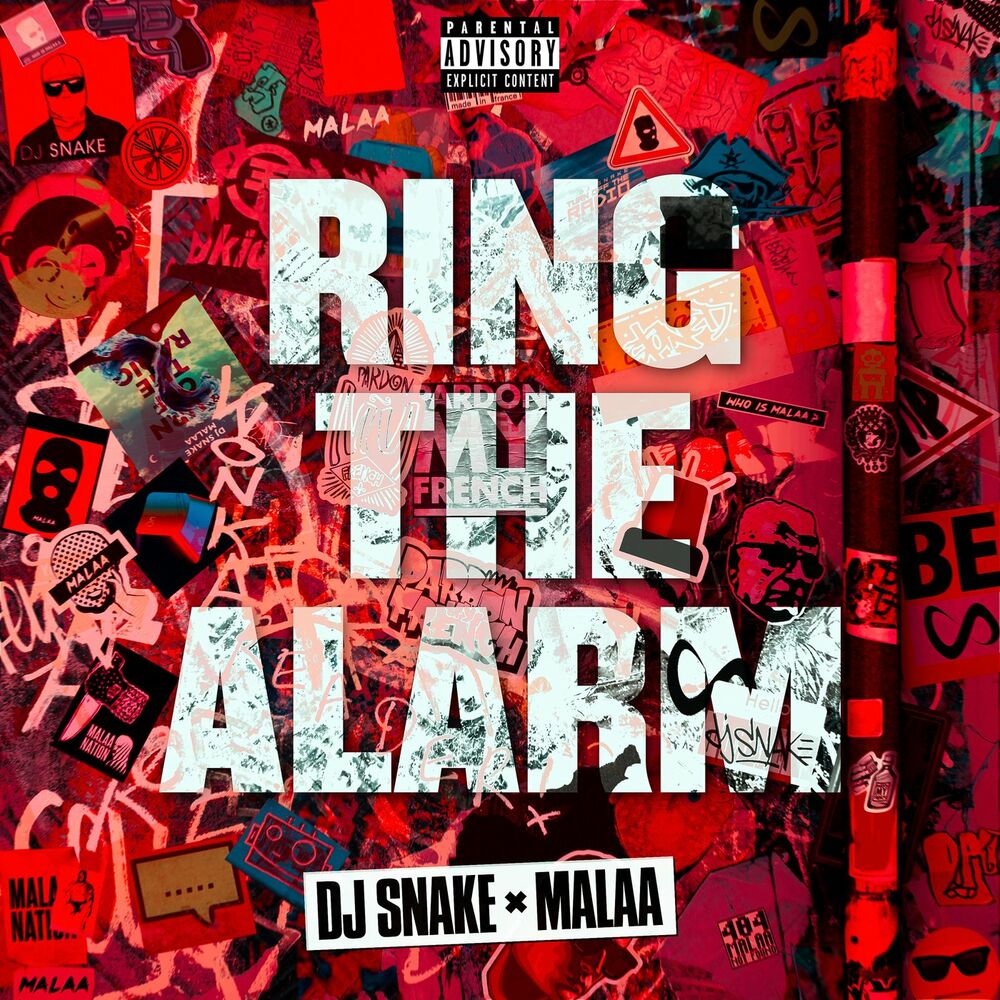 Picture of Ring The Alarm