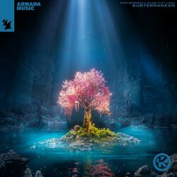 music cover