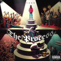 Cover of The Process