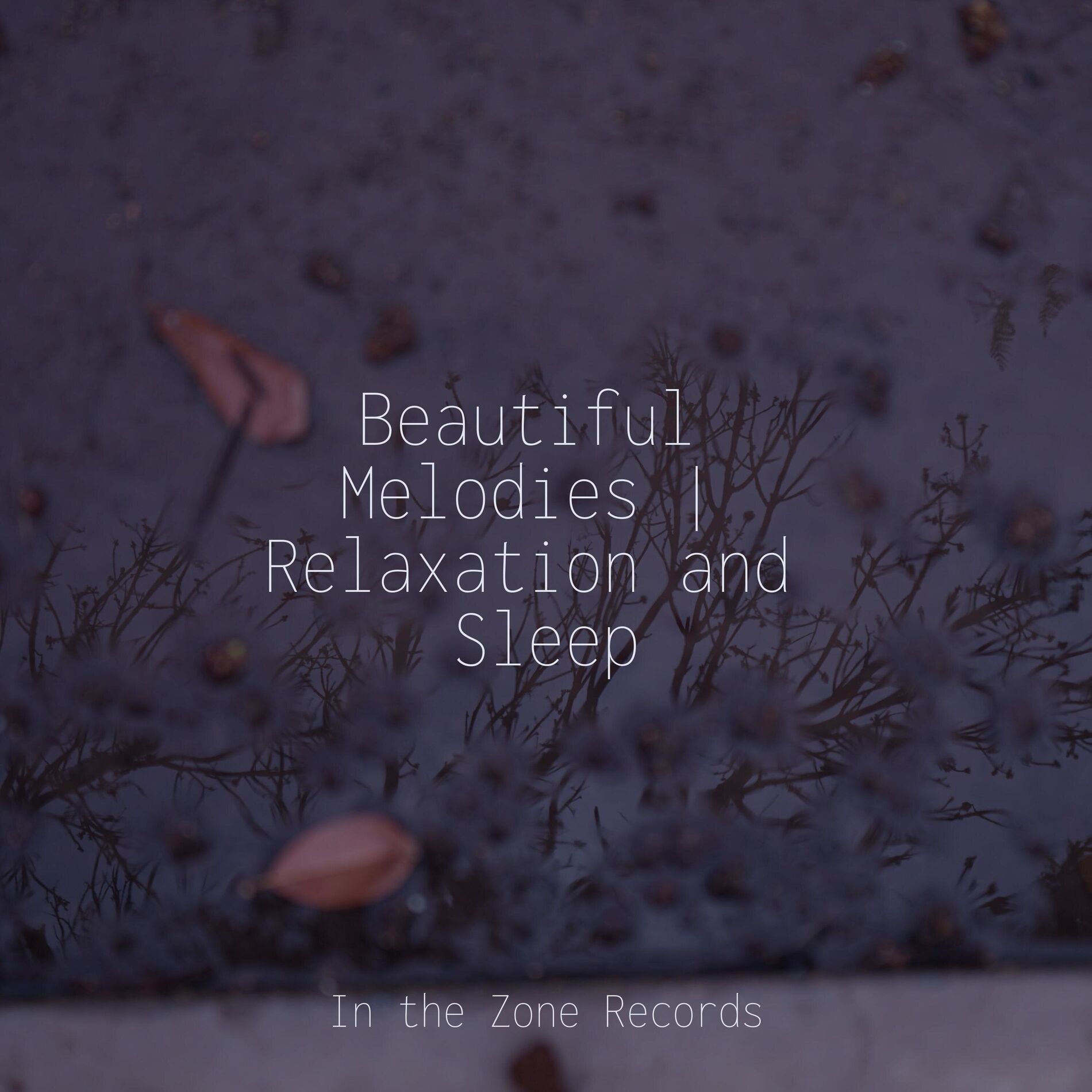 Album cover of Beautiful Melodies | Relaxation and Sleep