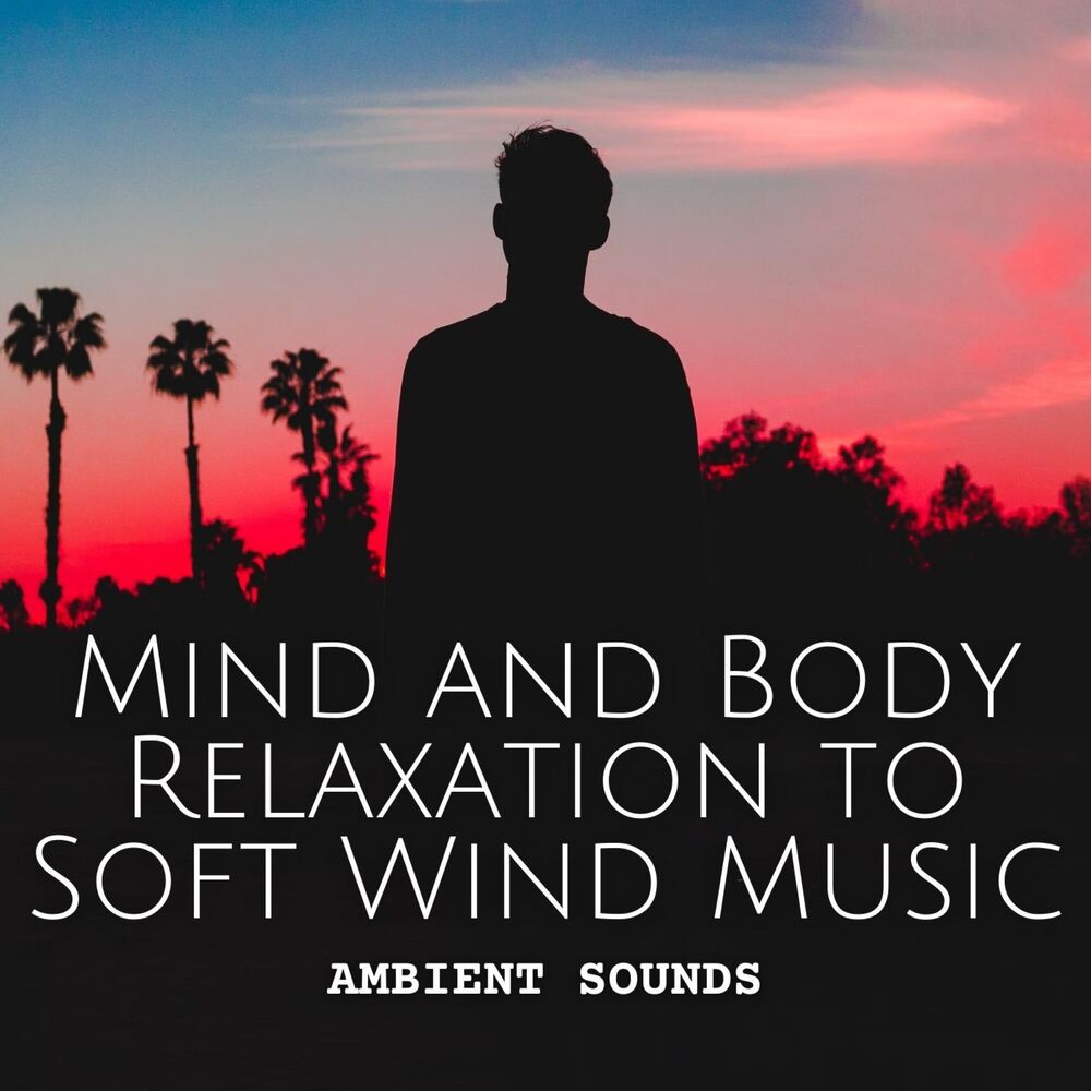 Picture of Ambient Sounds: Mind and Body Relaxation to Soft Wind Music