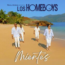 Cover of Mientes