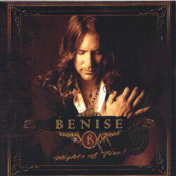 Cover of Nights of Fire!