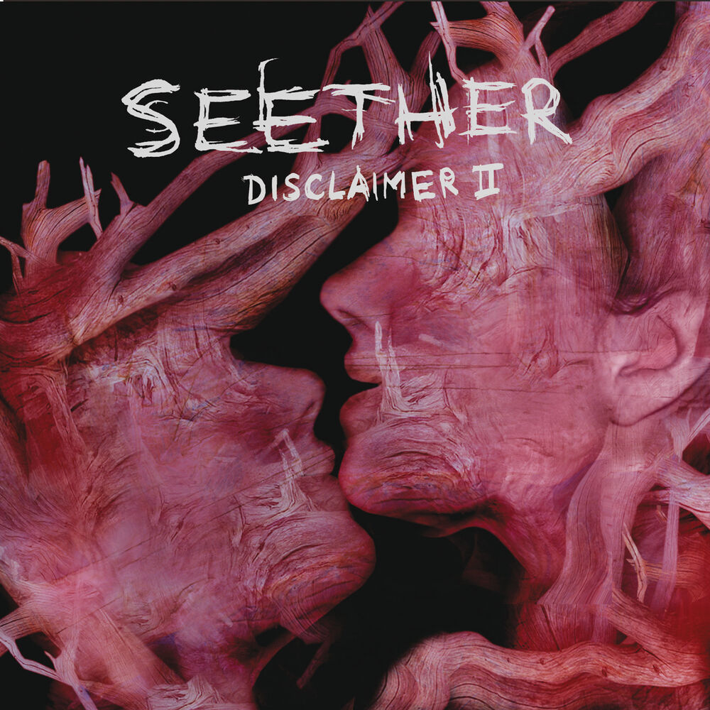 Picture of Disclaimer II