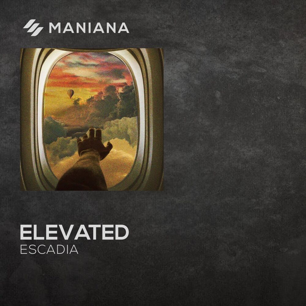 Picture of Elevated