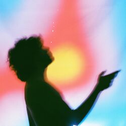 Cover of Feng Shui / Cobarde