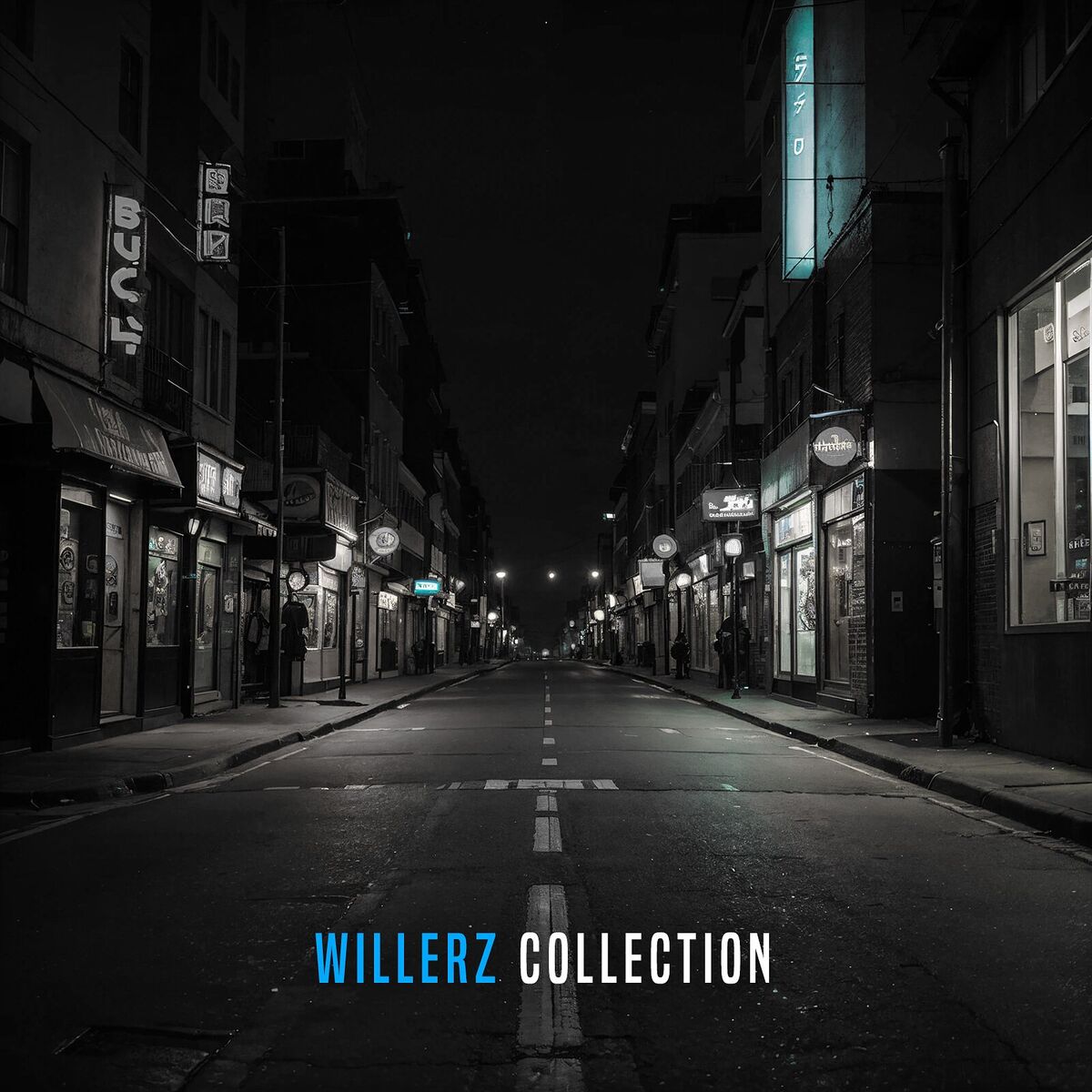 Album cover of Willerz Collection