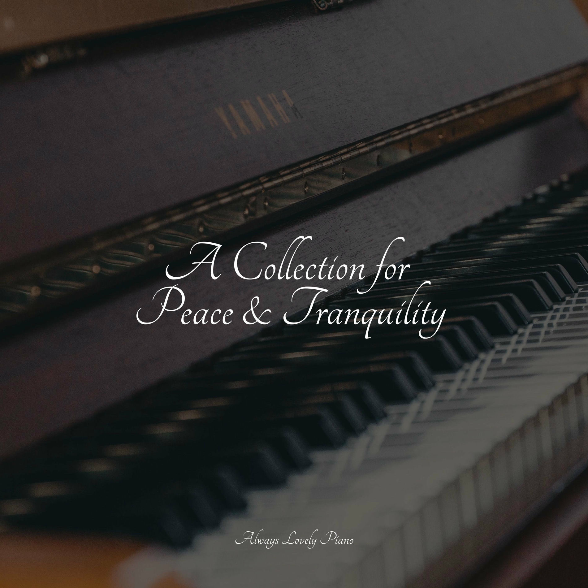 Album cover of A Collection for Peace & Tranquility