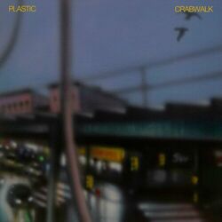 Cover of Crabwalk