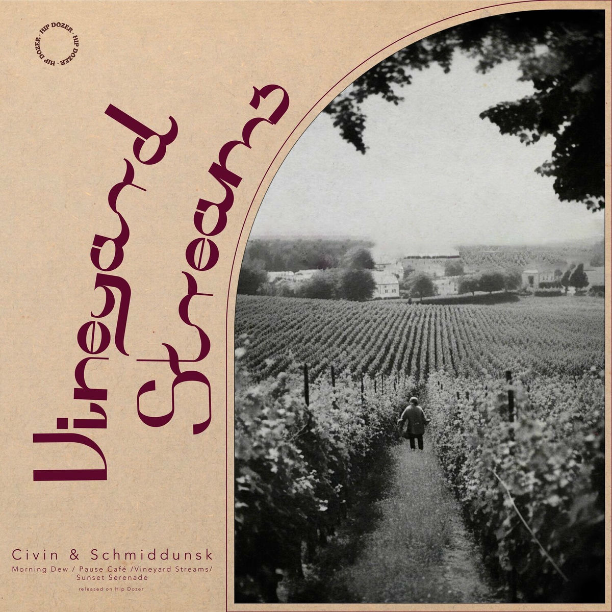 Album cover of Vineyard Streams