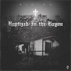 Cover of Baptized in the Bayou