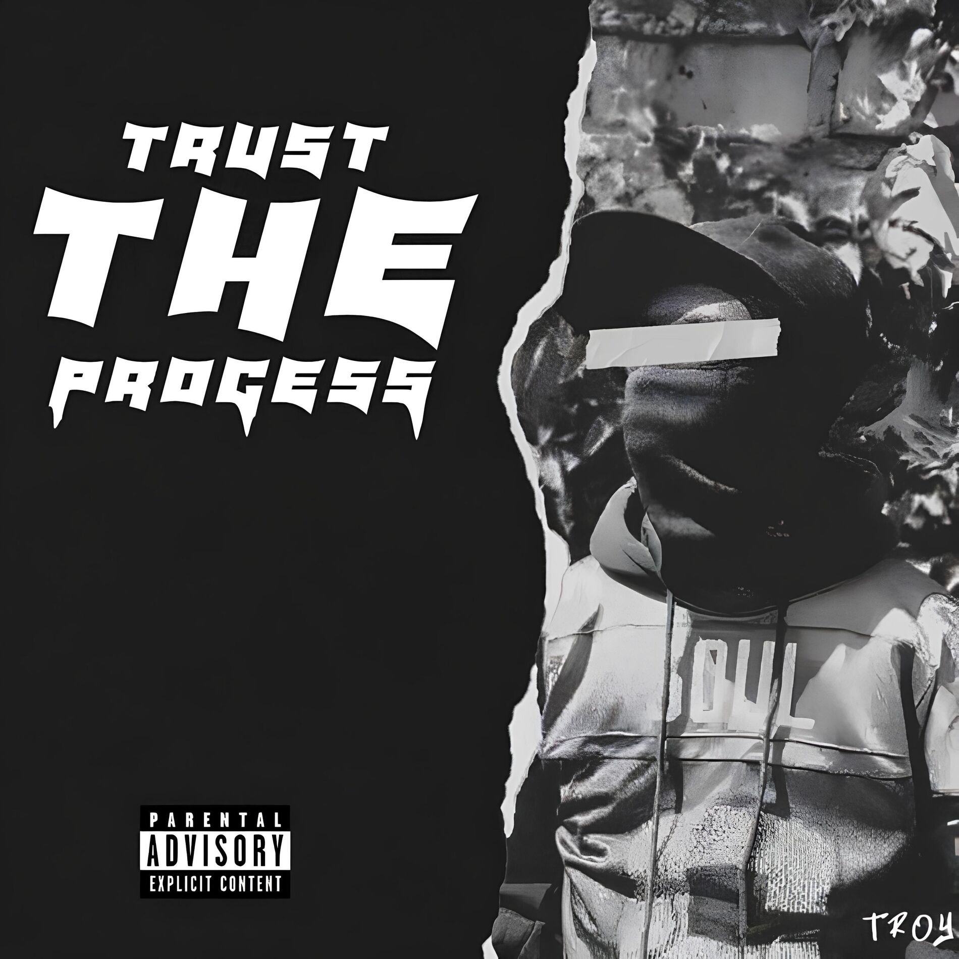 Album cover of TRUST THE PROCESS